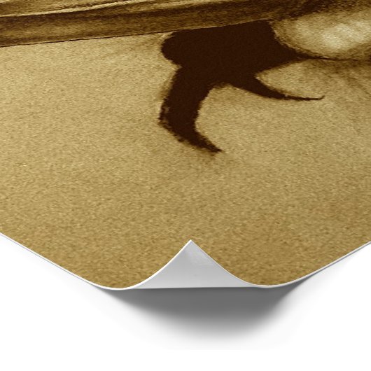 Poster sélection non naturelle (Coin)