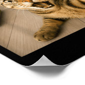 Poster Selfie Chat Chocé Drôle Avec Conception De Mème De (Coin)