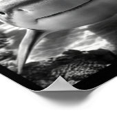 Poster Selfie d'animal de requin cool (Coin)