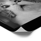 Poster Selfie De Chat Avec Ufos (Coin)