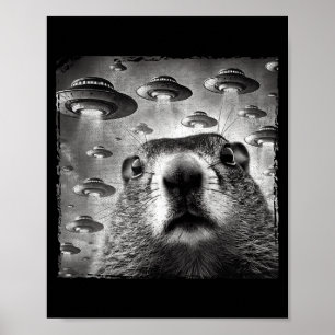 Poster Selfie de marmotte drôle avec des ovnis extraterre