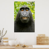 Poster Selfie de singe (Cuisine)