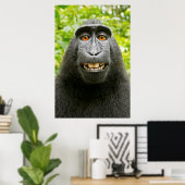 Poster Selfie de singe (Bureau à domicile)