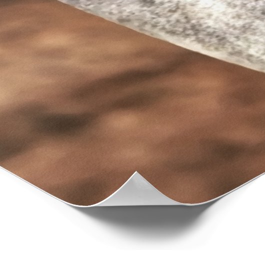 Poster Selle occidentale sur cheval gris (Coin)