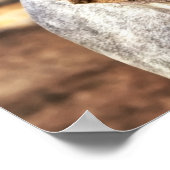 Poster Selle occidentale sur Cheval gris (Coin)