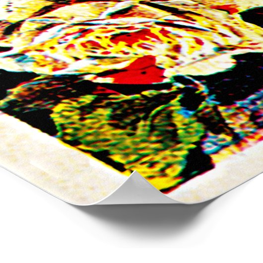 Poster Semaine d'aviation de Lyon (Coin)