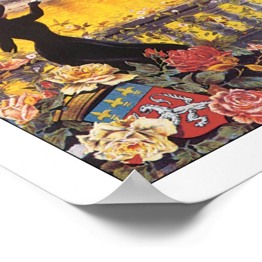 Poster Semaine d'aviation de Lyon (Coin)