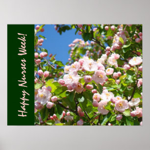 Poster Semaine heureuse d'infirmières ! l'art imprime le