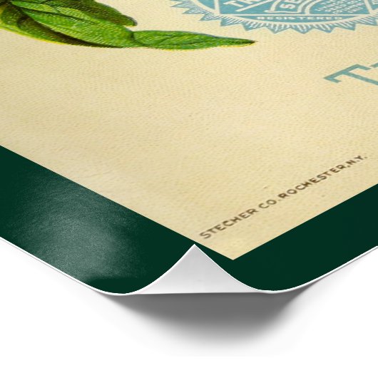 Poster Semences annuelles (Coin)