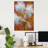 Poster Semences de l'algue à lait en automne, Canada (Bureau à domicile)