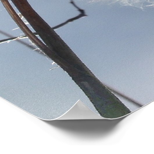 Poster Semences et pots d'algue (Coin)