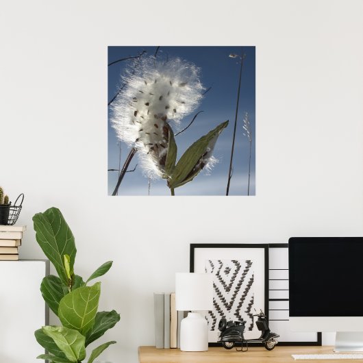 Poster Semences et pots d'algue (Bureau à domicile)