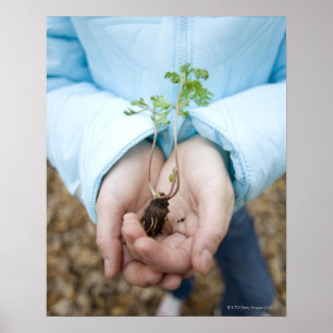 Poster semis plantes