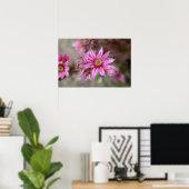 Poster Sempervivum tectorum (Bureau à domicile)
