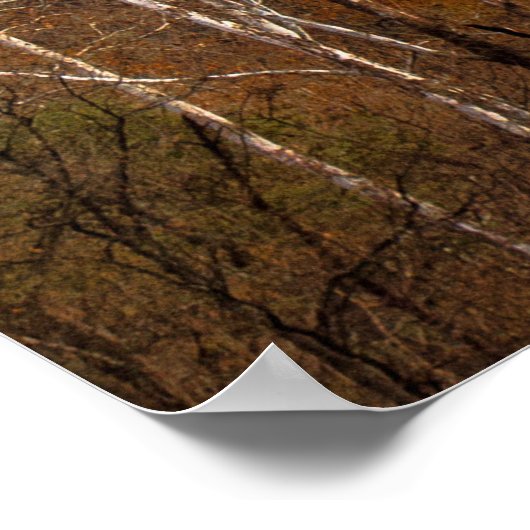 Poster Seneca Rocks à Fall, Virginie-Occidentale (Coin)