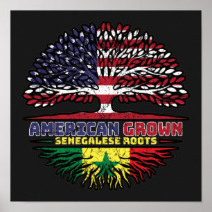 Poster Sénégal Sénégalais Etats-Unis Etats-Unis