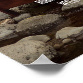 Poster Senn Film (Coin)