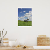 Poster Sens (Cuisine)