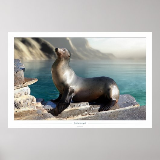 Poster sensation (Devant)