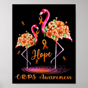 Poster Sensibilisation Flamant rose aux SPPC