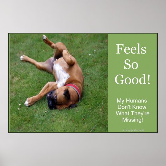 Poster Sent l'affiche tellement bonne (Devant)