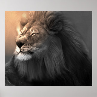 Poster Sentez La Lumière Blanche