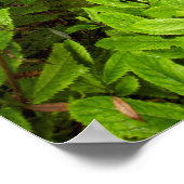 Poster Sentier à travers la forêt (Coin)