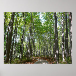 Poster Sentier boisé du centenaire II Ellicott City Maryl