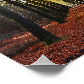 Poster sentier de chute forêt branche chemin d'amour (Coin)