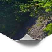 Poster Sentier de Hurricane Ridge (Coin)