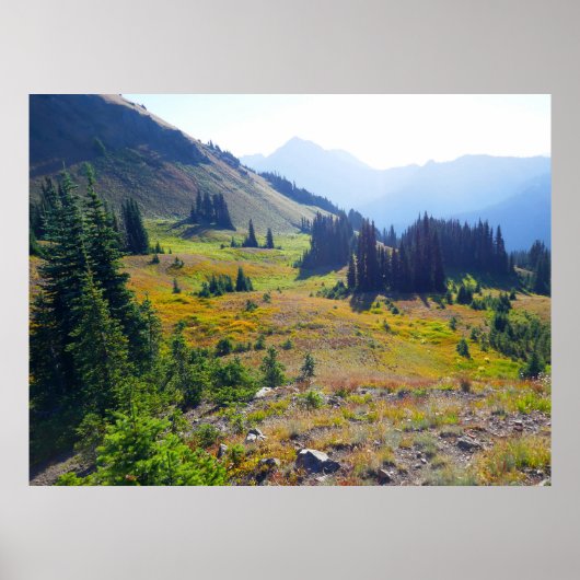 Poster Sentier de Hurricane Ridge (Devant)