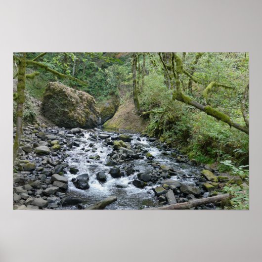 Poster Sentier de la cascade Bridal Veil, Oregon (Devant)