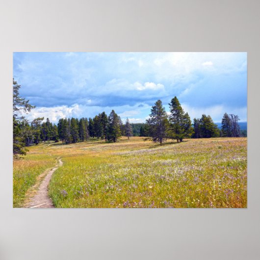 Poster Sentier de la prairie du parc national de Yellowst (Devant)