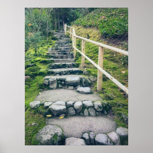 Poster Sentier de pierre dans une forêt luxuriante (Devant)
