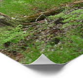 Poster Sentier de planches Jesup Path (Coin)