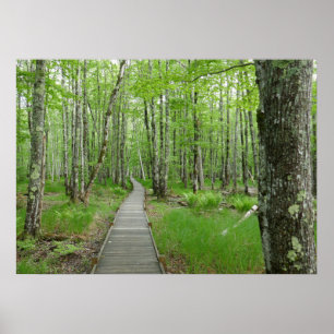 Poster Sentier de planches Jesup Path