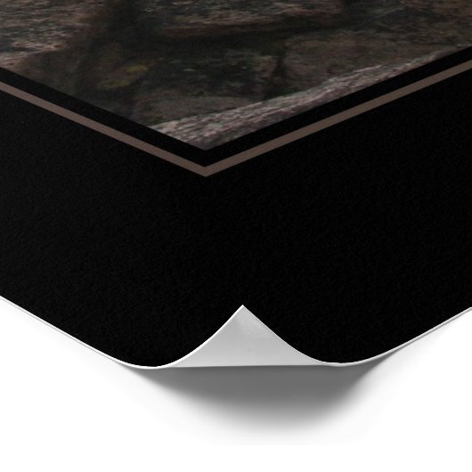 Poster Sentier de pointe des longes baguées (pas de texte (Coin)