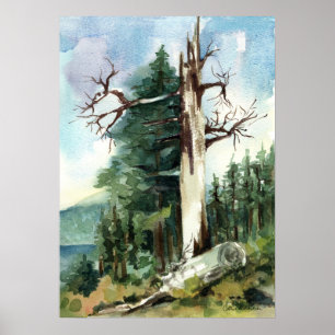 Poster Sentier de randonnée des arbres forestiers vue sur