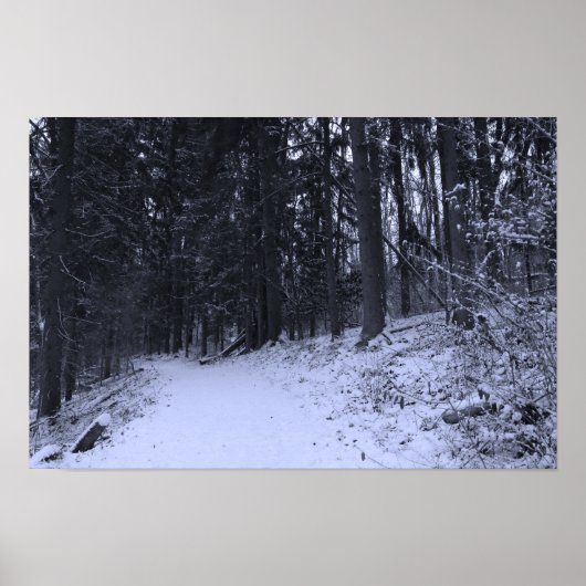 Poster Sentier de randonnée enneigé 2 (Devant)