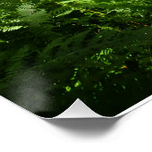 Poster Sentier de Redwood (Coin)