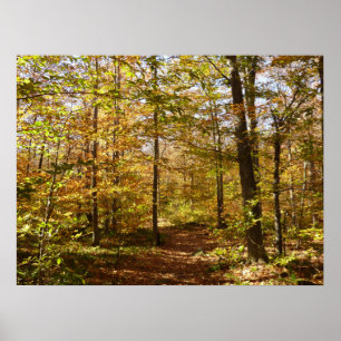 Poster Sentier de Wolf Rocks en paysage automnal de Penns