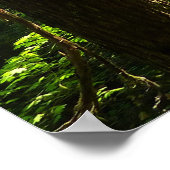 Poster Sentier depuis Silver Falls (Coin)