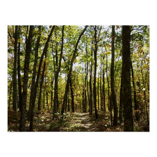 Poster Sentier des Appalaches en octobre à Shenandoah (Devant)