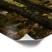 Poster Sentier des Appalaches en octobre à Shenandoah (Coin)