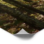 Poster Sentier des Appalaches en octobre à Shenandoah (Coin)