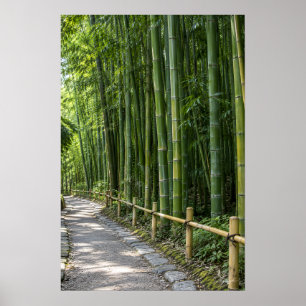 Poster Sentier épais de la forêt de bambou avec clôture r