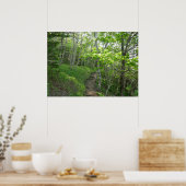 Poster Sentier forestier au parc national d'Acadia (Cuisine)