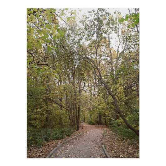 Poster Sentier forestier d'automne doré (Devant)