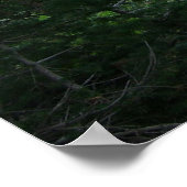 Poster Sentier Grand Teton (Coin)