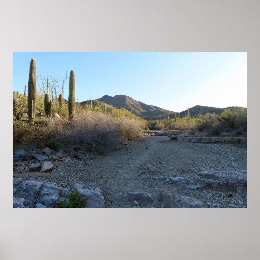 Poster Sentier King Canyon I (Devant)
